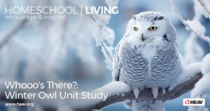 winter owl unit study