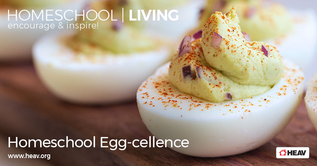 Egg Science Homeschool Living