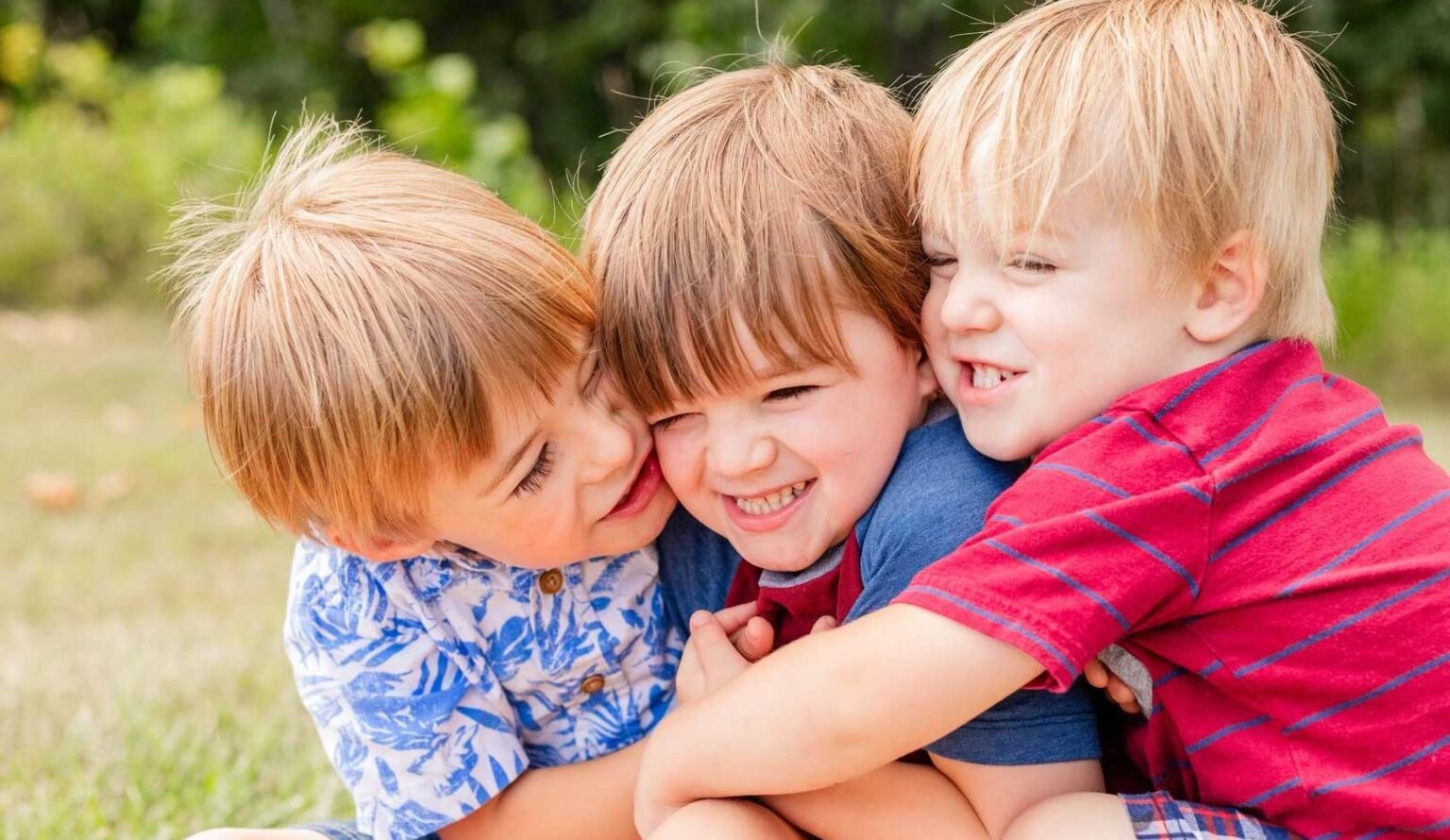 Virginia homeschool home educators association of virginia