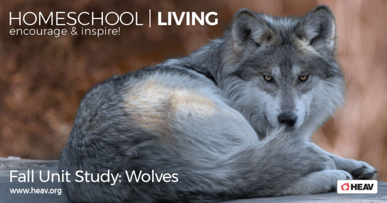 Wolves Fall Unit Study Homeschool Living