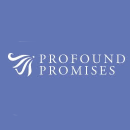 vendor25 Profound promises logo