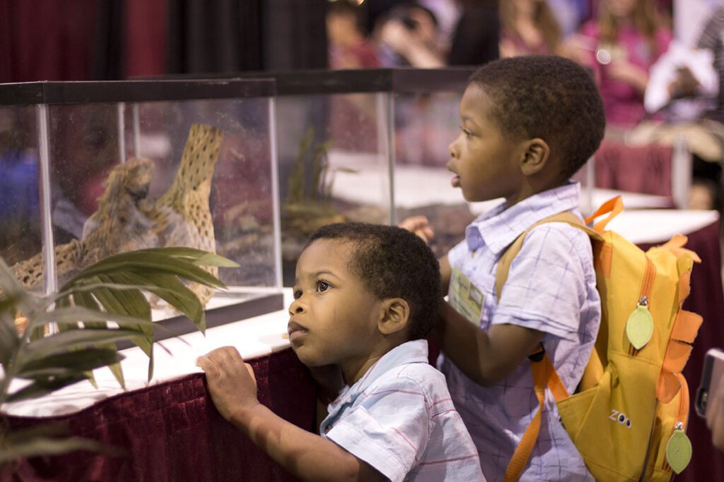 Exhibit-Hall--convention-lynx