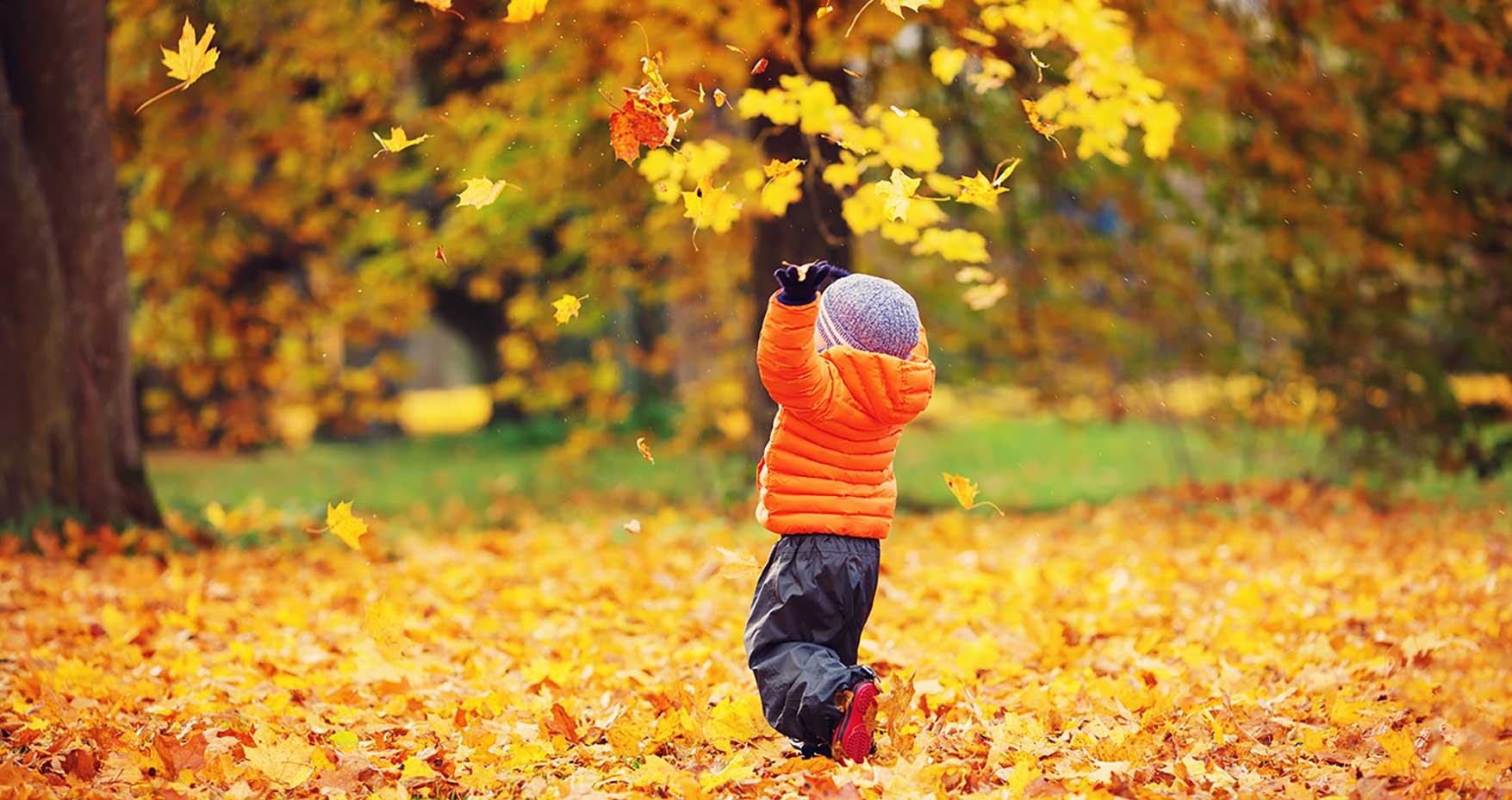 boy in leaves homeschool