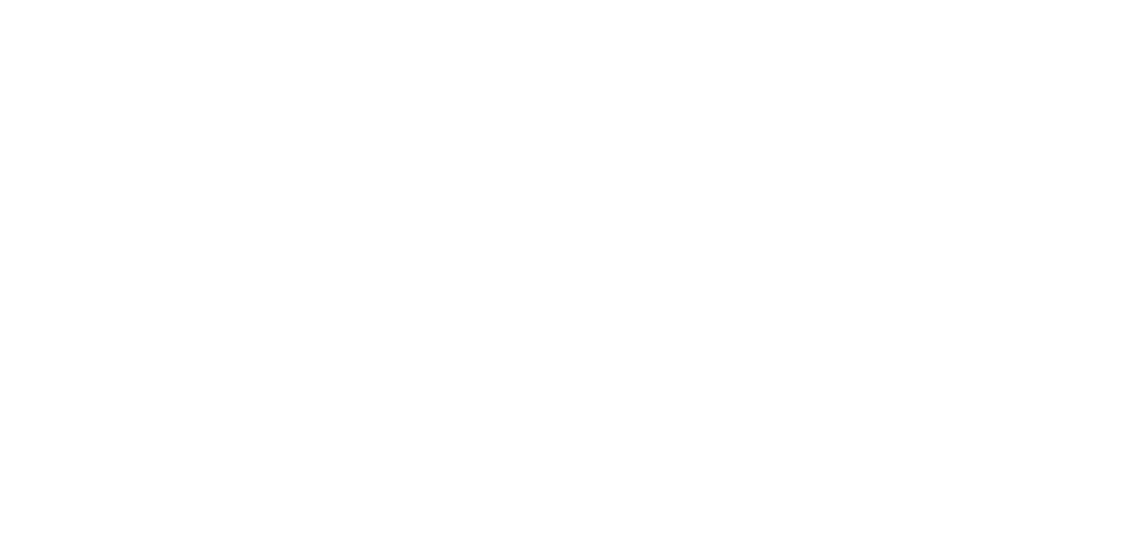 LeaderLife Transparent Overlay final