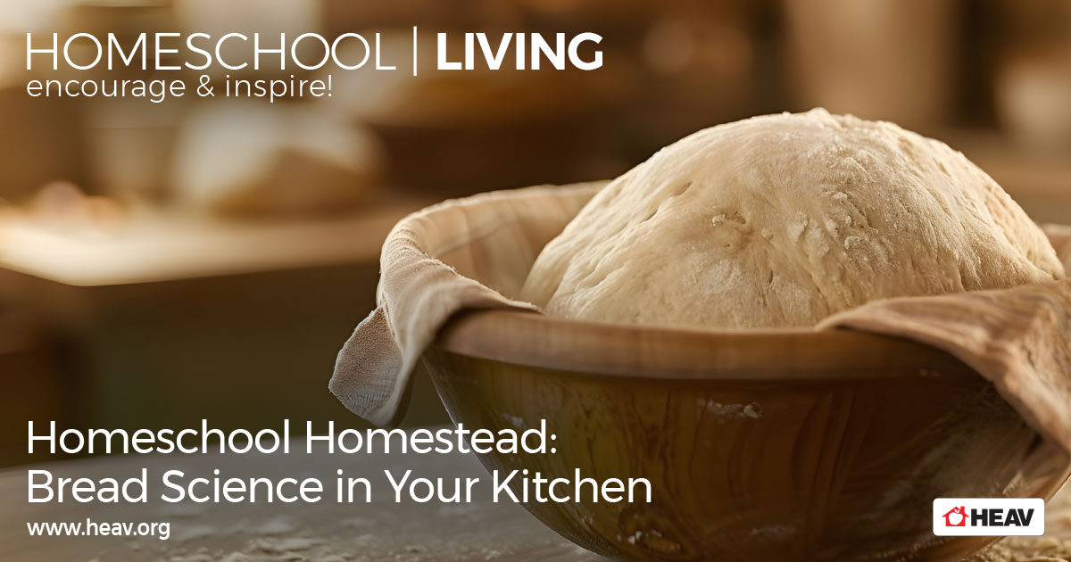 homeschool homestead, homesteading, bread baking, science