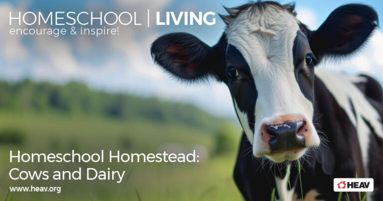 dairy cows homesteading HSL