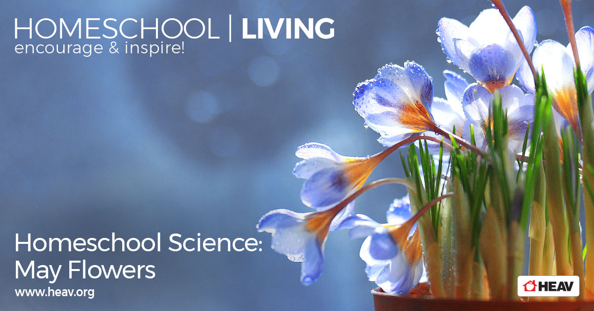 homeschool science may flowers homeschool living