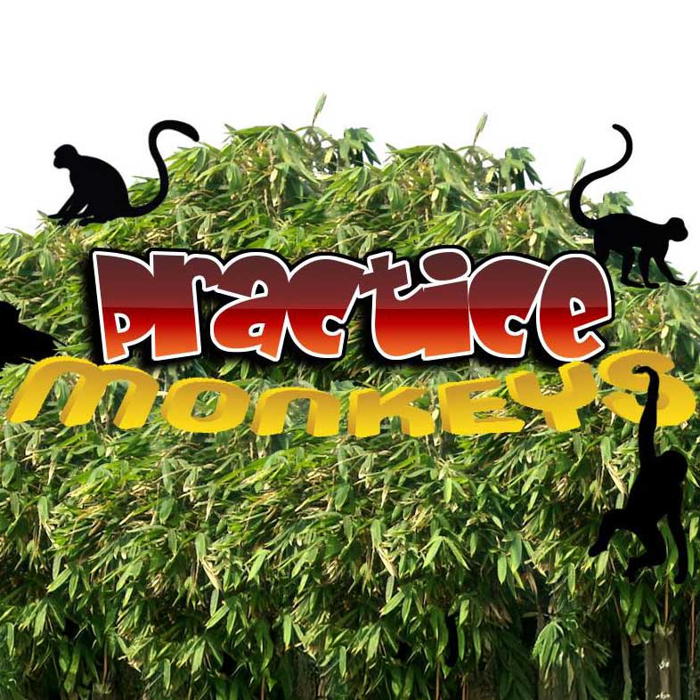 vendor 25 practice monkeys