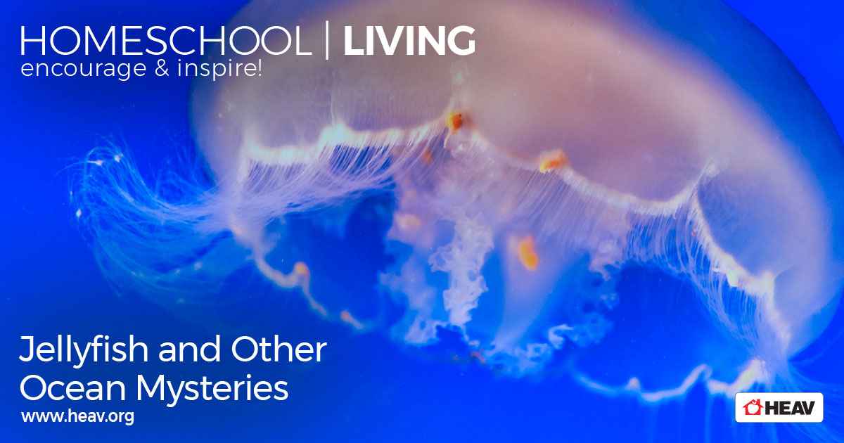 ocean science - Jellyfish-and-other-ocean-mysteries-homeschool-living