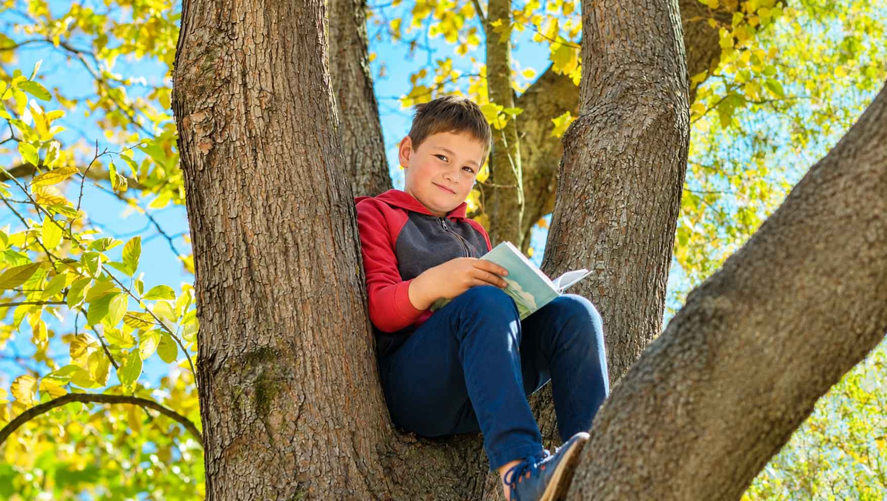 (not) back-to-school NBTS boy in tree