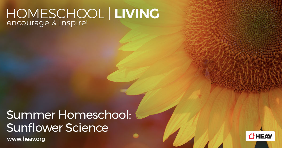 sunflower science