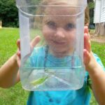 backyard science 3