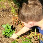 backyard science 4