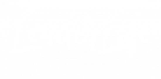 LeaderLife overlay